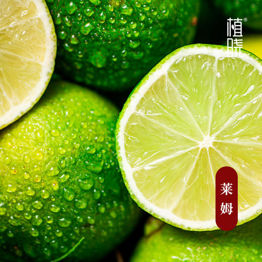 植晓 莱姆精油 5ml 商品图1