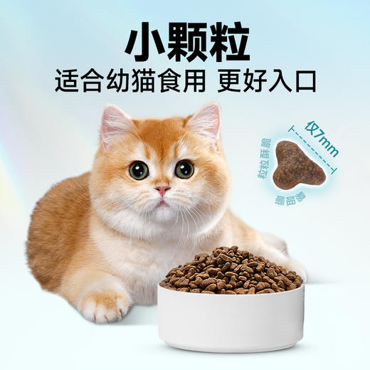 【会员专享】雷米高澳宝全价全期猫粮 营养呵护 增肥发腮 降低便臭 商品图2