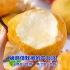 【新品半价补贴】仅限400单！烟台中华黄金丑梨源自农科院试验基地10斤/份 商品缩略图2