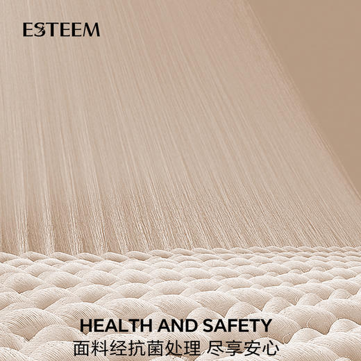 卢瓦河畔大白鹅加厚冬被 商品图3