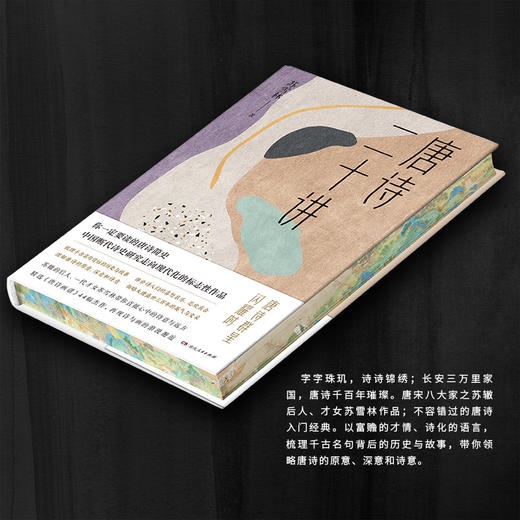 唐诗二十讲【刷边+肖像印版】|苏辙后人、才女苏雪林带你领略大唐三百年辉煌与风采 商品图3