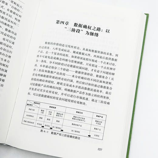 数据产权论   申卫星 陆志鹏 著  商务印书馆 商品图7
