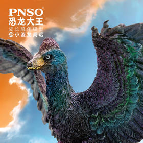 PNSO小盗龙高远恐龙大王成长陪伴模型29