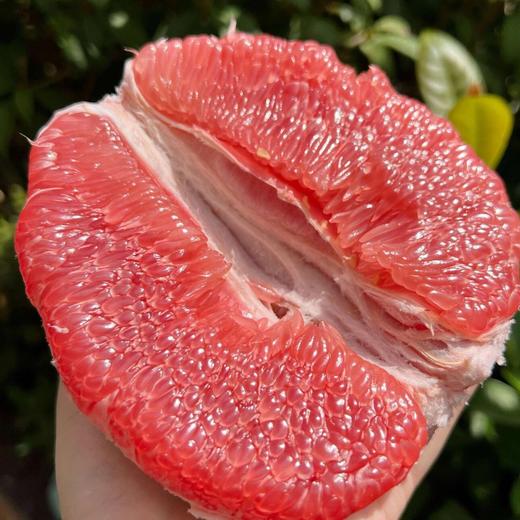 【斌哥优选】福建平和老树三红柚，皮粉肉粉，粒粒爆汁，柚子味浓。每一颗都经得起挑剔。 商品图2