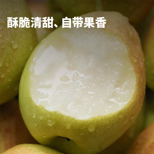 【秋风吹过】库尔勒香梨 新疆戈壁滩种植 甄选母梨 果皮带红 皮薄肉细 清甜多汁（下单后72小时 新疆产地顺丰/京东发货） 商品图1