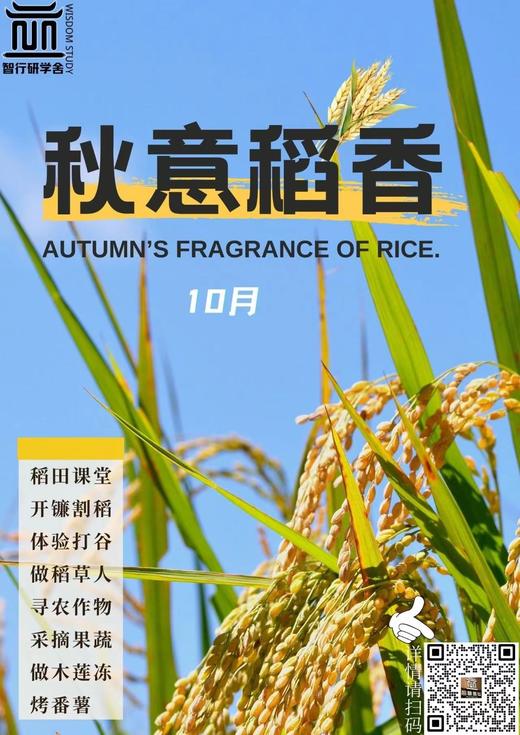 【智行研学】10月13日“秋意稻香”金秋研学 商品图0
