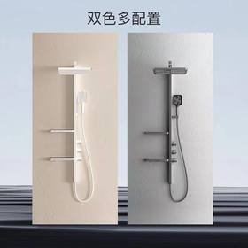 花洒套装淋浴淋雨灰白色沐浴网红通用型浴室淋浴器卫浴枪家用大