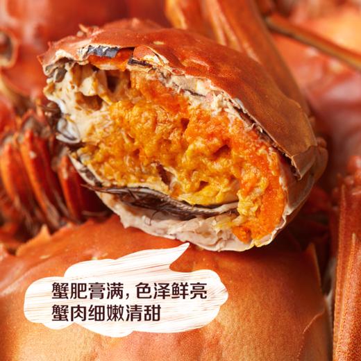 中粮凌鲜大闸蟹豪华款3288型（产地直发）（提示：大闸蟹是鲜活水产不接受任何形式拒签，请当场验货再签收，如有死蟹可当面给快递员拍照申请理赔）【分仓直发，72小时内发货，节假日不发货】 商品图2