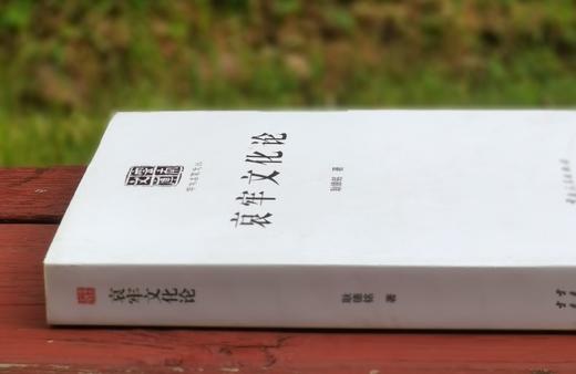 云南文库：《哀牢文化论》，16开，平装，耿德昌著，云南人民出版社2016年版，定价80，售价20元。 商品图3