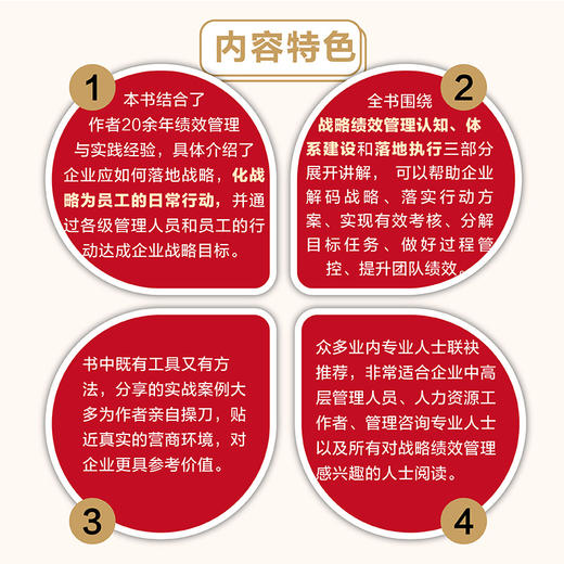 从战略解码到绩效落地 企业战略制定与绩效落地实用指南  解码战略 找到客户 提高个人及团队整体业绩 战略管理人力资源管理 商品图3