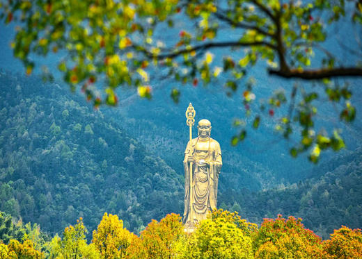 江南深秋行摄之旅：  南京+九华山+华东最大落羽杉+桃花潭+扬州+麋鹿8天（池州/盐城） 商品图8