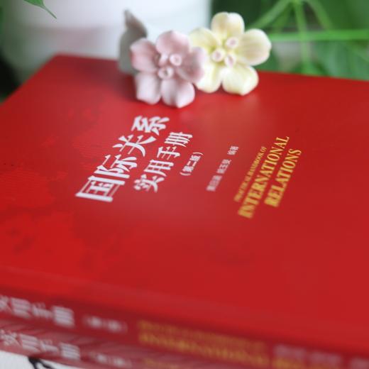 国际关系实用手册（第二版） 黄日涵 姚玉斐 编著 商品图5