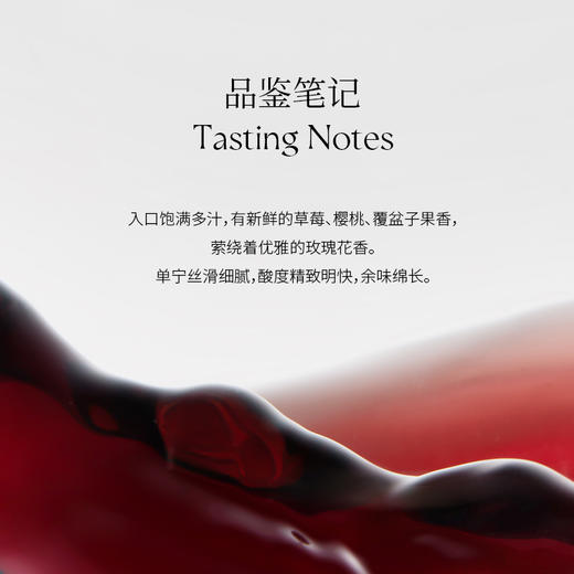 玉鸽单一园黑比诺干红葡萄酒 商品图4
