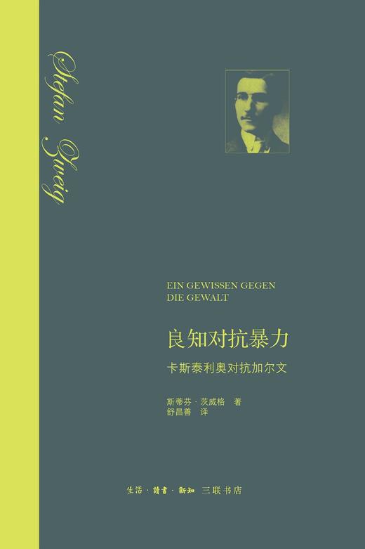 良知对抗暴力 商品图0