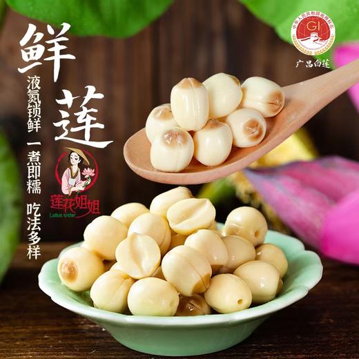 广昌特产【莲花姐姐】鲜莲子 粉糯易煮 液氮锁鲜 冷链冰鲜到家 商品图0