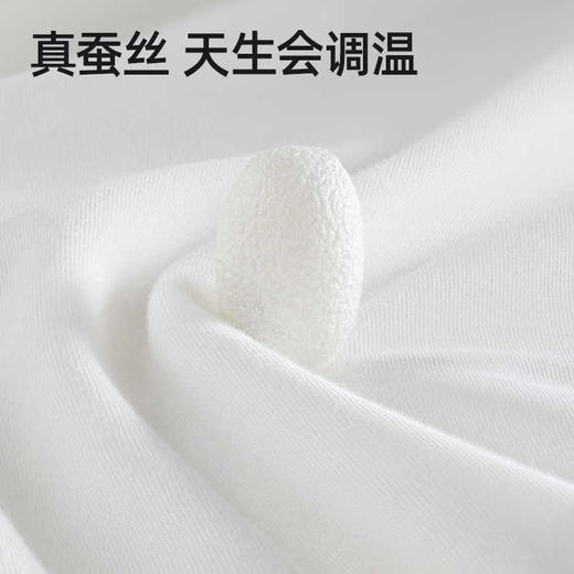 贝肽斯婴儿被子蚕丝被秋冬恒温纯棉加厚宝宝棉被儿童幼儿园四季 商品图2