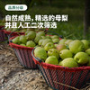【秋风吹过】库尔勒香梨 新疆戈壁滩种植 甄选母梨 果皮带红 皮薄肉细 清甜多汁（下单后72小时 新疆产地顺丰/京东发货） 商品缩略图4
