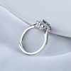 【宏艺珠宝】汀兰花溪莫桑钻戒指·银s925戒指 商品缩略图2