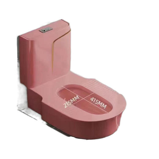 蹲挖坑马桶式台式蹲坑蹲便免神器新款蹲厕台免砌改坐便器便器 商品图4