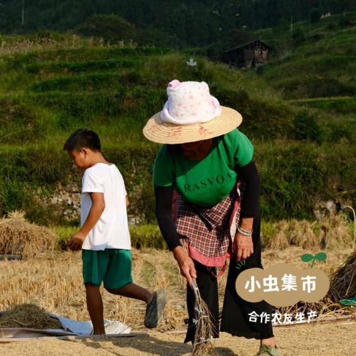 【2025秋收新米】生态五彩宴米 500g/袋 | 合作农友生产，产自贵州黎平洋侗村，生产者:杨邦荣 &【公平贸易农人定价】 商品图4