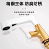 龙头洗手盆冷热水升降卫生间抽拉全铜洗脸盆家用 商品缩略图1