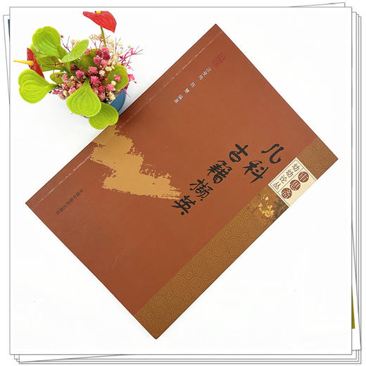 儿科古籍撷英 汪受传 陈慧 著 审思斋幼幼论丛 中国中医药出版社 中医儿科学 书籍 商品图1