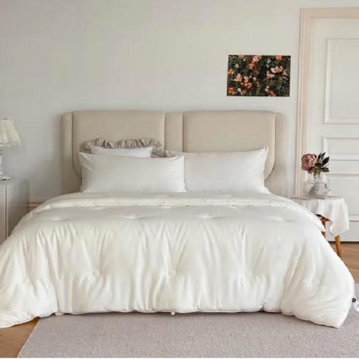 宜居生活有氧云绒春秋被200*230cm/床 商品图0