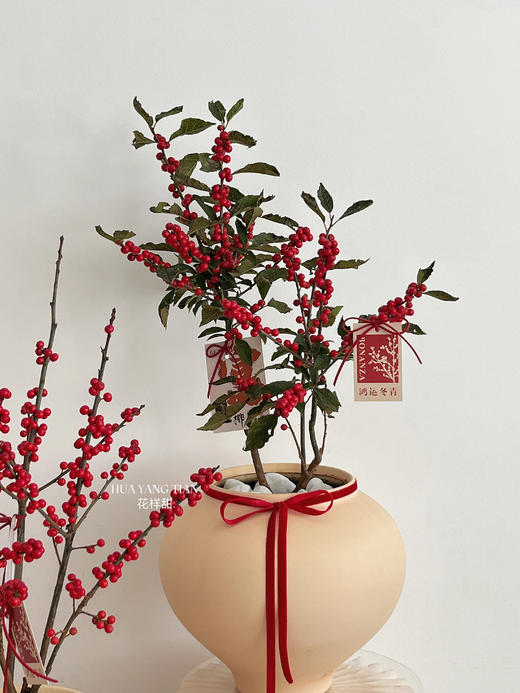 [ 一路长红 ] 冬青盆栽 商品图3