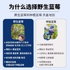 有机野生蓝莓原浆 开袋即饮30ml*10袋/盒装/100ml*8瓶装【京东快递送货上门】 商品缩略图6