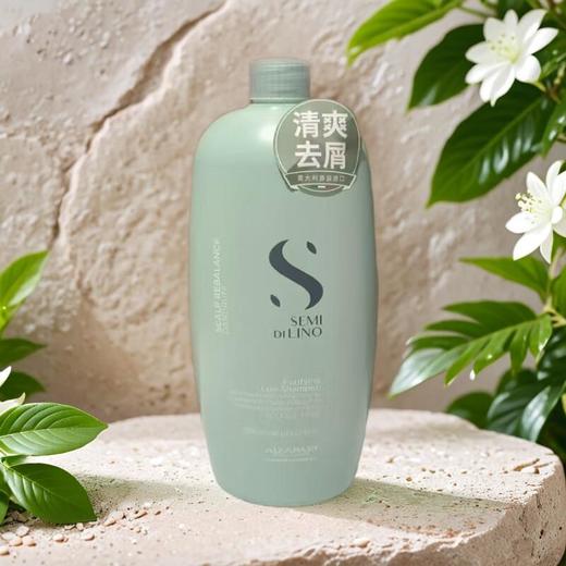 奥帕夫净纯舒缓洗发乳 1L/瓶 商品图0