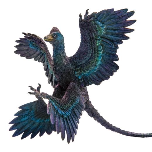 PNSO小盗龙高远恐龙大王成长陪伴模型29 商品图4