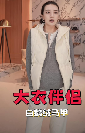 大衣伴侣🪶白鹅绒马甲
