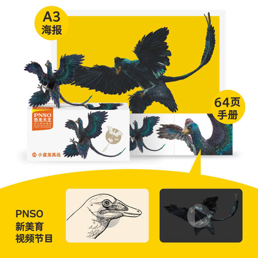 PNSO小盗龙高远恐龙大王成长陪伴模型29 商品图1