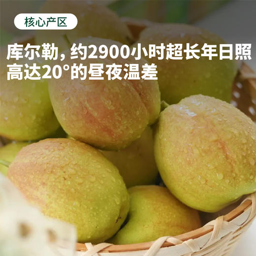 【秋风吹过】库尔勒香梨 新疆戈壁滩种植 甄选母梨 果皮带红 皮薄肉细 清甜多汁（下单后72小时 新疆产地顺丰/京东发货） 商品图3