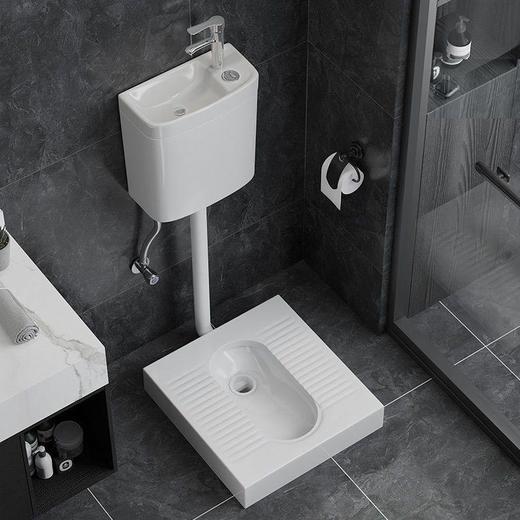 便弯明装存水蹲坑台式便厕蹲蹲带改便器蹲便免防臭台蹲挖坑免坐砌 商品图2