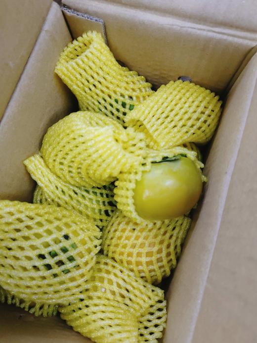 柿柿如意巧克力脆柿子一箱 商品图3