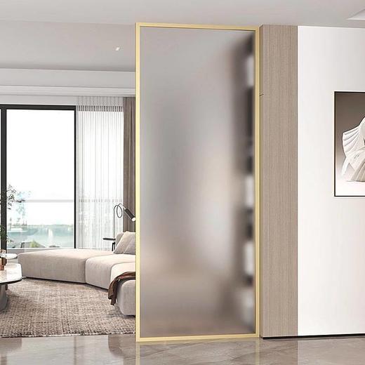 入户屏风隔断浴室客厅长虹轻奢卫生间铁艺钢化玻璃不锈钢玄关 商品图1