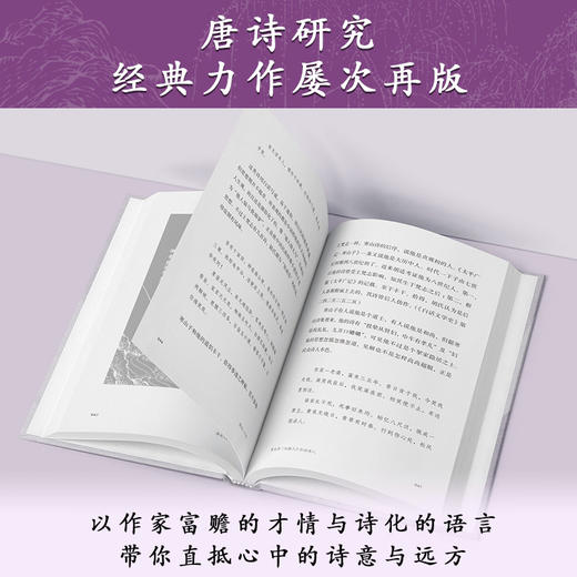 唐诗二十讲|苏辙后人、才女苏雪林你领略大唐三百年的辉煌与风采 商品图3