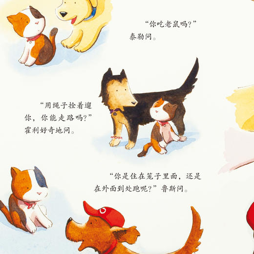 “同理心培养-儿童情绪管理与性格培养”（共4册）：《我能自己想办法》《我学会了感恩》《我们和好了》《班里来了一只猫 》 商品图11