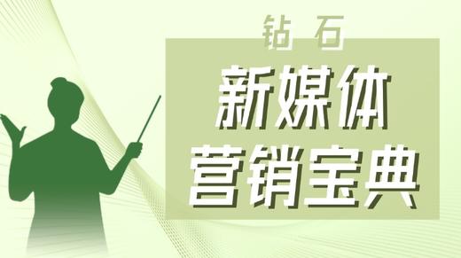 新媒体营销宝典（钻石） 商品图0