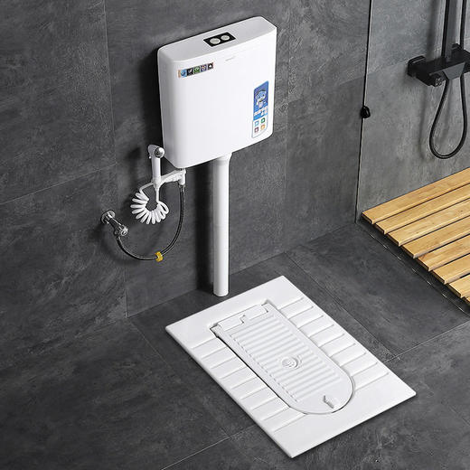 蹲厕所蹲有式形蹲坑家用加盖大便器一体带盖板隐藏便盆翻盖式便池 商品图1