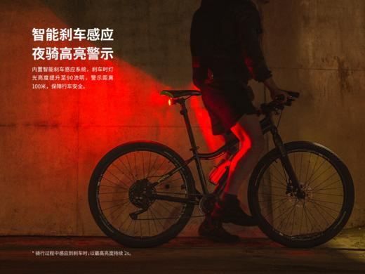 Fenix菲尼克斯BC06R高亮自行车尾灯type-c口充电山地车夜间骑行警示灯 商品图3