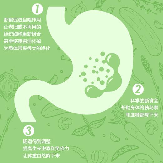 【官方正版】疗愈的饮食与断食：新时代的个人营养学 商品图3
