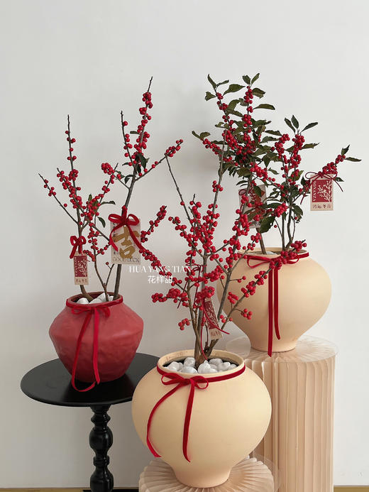 [ 一路长红 ] 冬青盆栽 商品图0