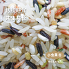 【2025秋收新米】生态五彩宴米 500g/袋 | 合作农友生产，产自贵州黎平洋侗村，生产者:杨邦荣 &【公平贸易农人定价】 商品缩略图1