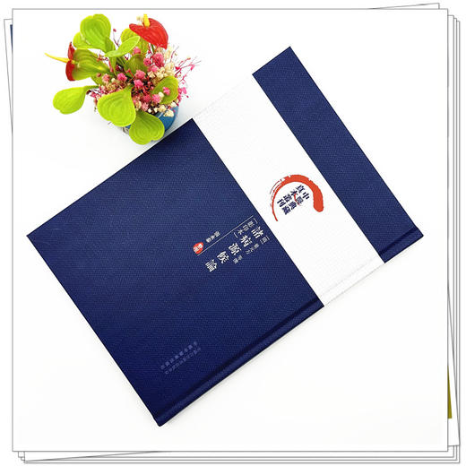 诸病源候论（影印本）(隋)巢元方 等撰 张永泰 整理 中国中医药出版社 中医典藏真本丛刊 商品图1