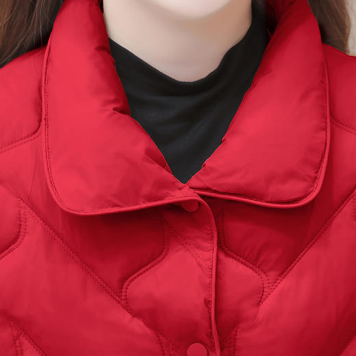 QYM-OMS-AYB401-L立领短款时尚羽绒服24年冬款修身小个子保暖防寒白鸭绒外套 商品图3