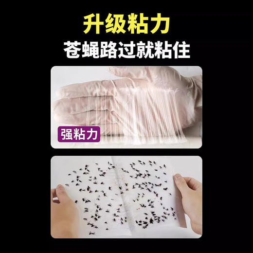 「50片装！升级粘力」苍蝇贴强力粘苍蝇纸板 灭蝇诱杀蝇蚊子药捕捉居家日用一扫光 商品图2
