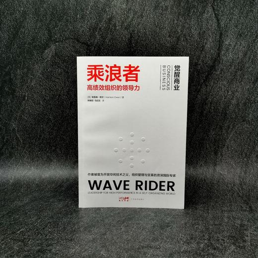 【官方正版】乘浪者 : 高绩效组织的领导力 商品图2