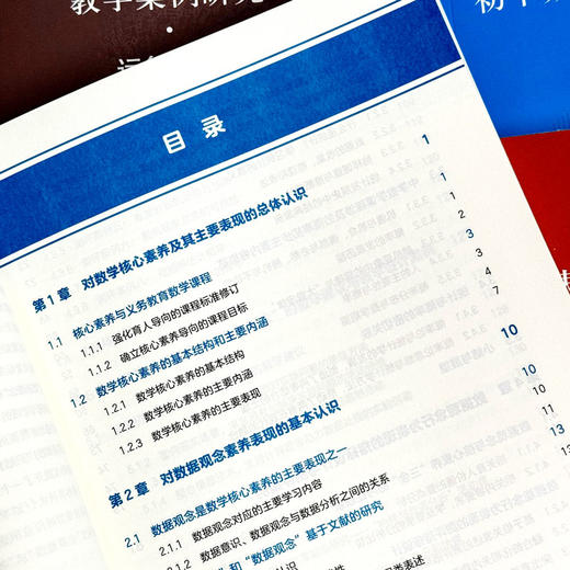 初中数学核心素养行为表现及教学案例研究系列丛书 套装8册 商品图6